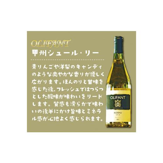 ふるさと納税 山梨県 大月市 笹一酒造OLIFANT甲州シュール・リー2本&こすげ村源流工房ヤマメのアンチョビ1パックセット【017-002】 笹一酒造OLIFANT甲州シュール リー 　　製造地