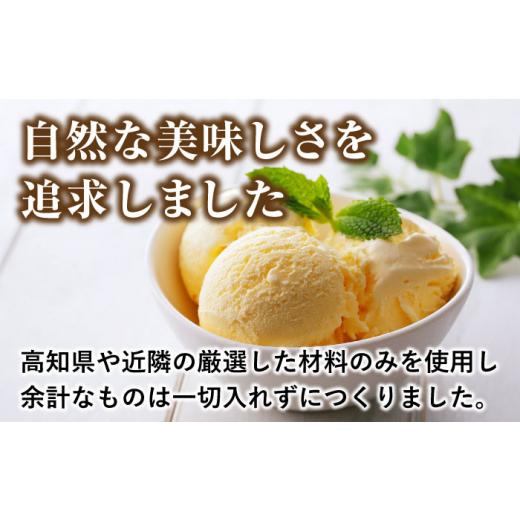 ふるさと納税 菓子 アイス 高知県 高知市 プレミアムアイスクリーム（12個入り） cafe du glace ATCL003_3