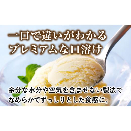 ふるさと納税 菓子 アイス 高知県 高知市 プレミアムアイスクリーム（12個入り） cafe du glace ATCL003_4