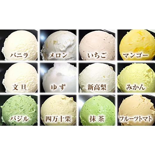 ふるさと納税 菓子 アイス 高知県 高知市 プレミアムアイスクリーム（12個入り） cafe du glace ATCL003_6