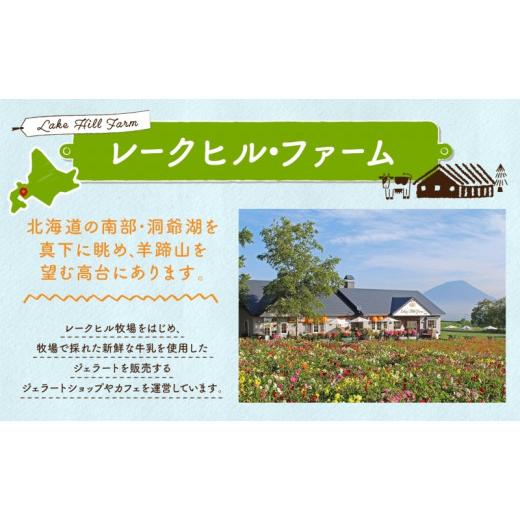 ふるさと納税 北海道 洞爺湖町 定期便 4ヵ月 連続 全4回 北海道 まきばのジェラート 6種  各2個 計12個 セット ジェラート ミルク 赤しそ カムイミンタルの塩 …｜furusatochoice｜06