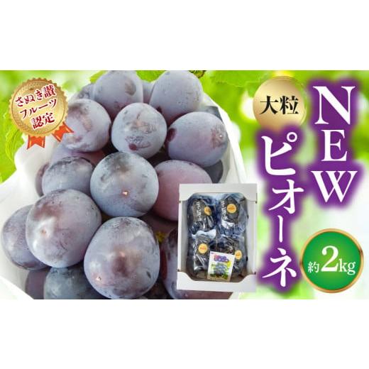 ふるさと納税 ぶどう 香川県 三豊市 ふるさと納税 さぬき讃フルーツ認定 締め切り間近 NEWピオーネぶどう 大粒約2kg 秋 旬