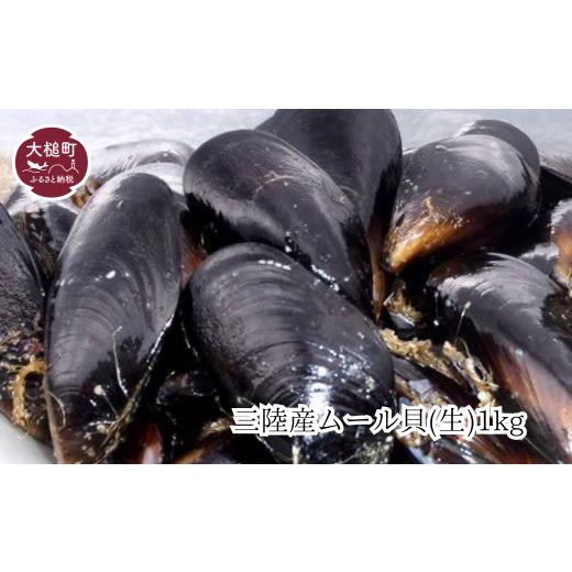 ふるさと納税 魚貝類 岩手県 大槌町 三陸産ムール貝1kg (20個前後) 初栄丸