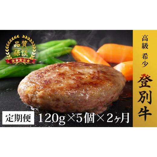 ふるさと納税 肉 ハンバーグ 北海道 登別市 肉のあさひ 登別牛100%使用ハンバーグ 120g×5個 全2回お届け 定期便2回お届け 120g×5個