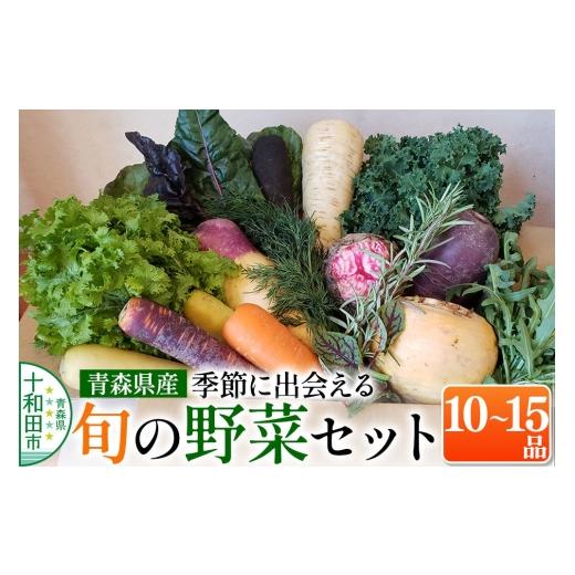 ふるさと納税 セット・詰合せ 青森県 十和田市 青森県産 季節に出会える「旬」の野菜セット10〜15品 新鮮野菜の詰め合わせ 今が旬 今が旬 季節野菜