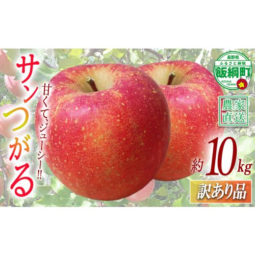 ふるさと納税 りんご 長野県 飯綱町 りんご サンつがる 訳あり 10kg 関農園 沖縄県への配送不可 2026年8月下旬頃から2026年9月上旬頃まで順次発送予定 エコフ…