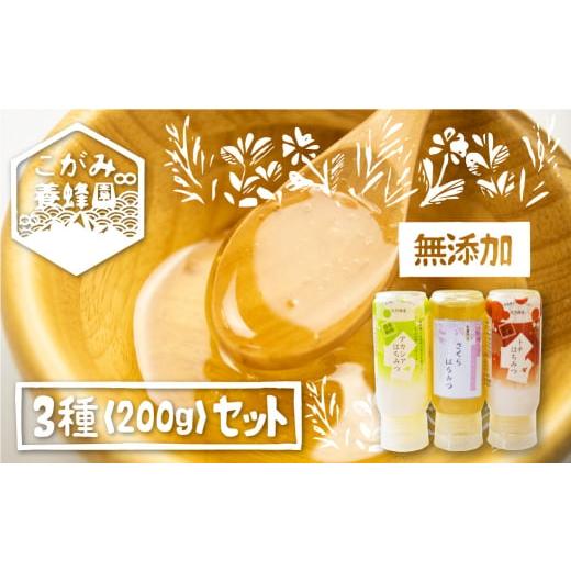 ふるさと納税 岐阜県 飛騨市 飛騨産 生蜂蜜 詰め合わせ セット 200g×3種類 ギフト 国産無添加 さくらトチ アカシア はちみつ ハニー 非加熱