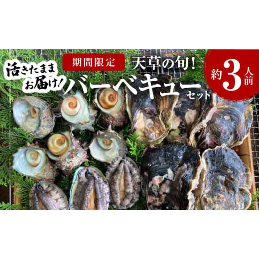 ふるさと納税 牡蠣 生牡蠣 熊本県 天草市 S002-020_ 期間限定・先行受付 天草の旬 バーベキューセット 約3人前