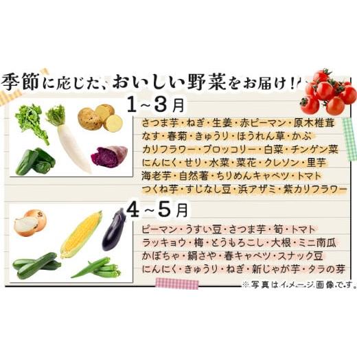 ふるさと納税 味噌 米味噌 高知県 室戸市 お味噌 (550g) 野菜 (8品) セット 詰め合わせ 旬 おまかせ 新鮮 やさい 味噌 みそ 吉良川みそ 調味料 高知県 室戸市 &hellip;