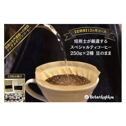 ふるさと納税 コーヒー コーヒー豆 千葉県 南房総市  定期便 スペシャルティコーヒー豆 焙煎士セレクト 250g×2種 豆 12ヶ月 mi0043-0007 コーヒー 焙煎士 浅…_1