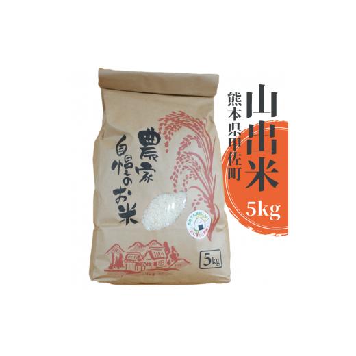 ふるさと納税 米 熊本県 甲佐町 新米先行受付 甲佐町産 山出米5kg - 令和7年11月以降順次発送 新米 令和7年産 精米 お米 米 しっとり もちもち 甘み おにぎ…