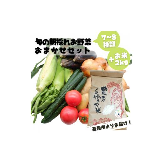 ふるさと納税 セット・詰合せ 熊本県 甲佐町 旬のお野菜おまかせセット&山出米2kg 新米先行受付 - 令和7年11月以降順次発送 新米 令和7年産 新鮮 野菜 旬 朝…