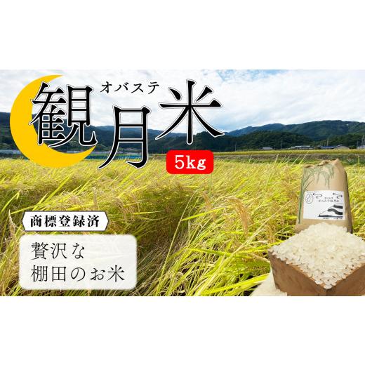 ふるさと納税 長野県 千曲市 贅沢な棚田のお米 オバステ観月米 (5kg)