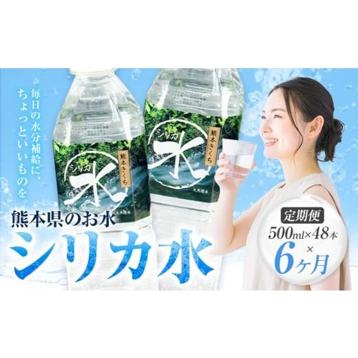 ふるさと納税 水・ミネラルウォーター 500mL〜999mL 熊本県 菊池市 6ヶ月定期便 水 シリカ水 500ml × 48本 × 年6回 有限会社七城町特産品センター メロンド…