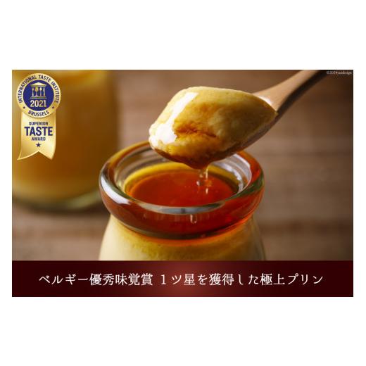 ふるさと納税 菓子 プリン 石川県 宝達志水町 プリン 能登の極上素材プリン 6個 セット 90g×6個 シロップ 45g×2本 宝達山本舗松月堂 石川県 宝達志水町 3860…の画像