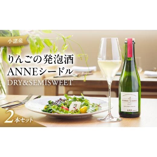 ふるさと納税 ワイン 長野県 小諸市 小諸産 りんごの発泡酒 ANNEシードル(DRY&SEMISWEET)2本セット  