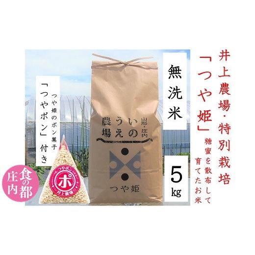 ふるさと納税 無洗米 山形県 三川町 食の都庄内 令和7年産・無洗米(精米) 特別栽培米つや姫5kg つやポン付[井上農場] 令和7年産