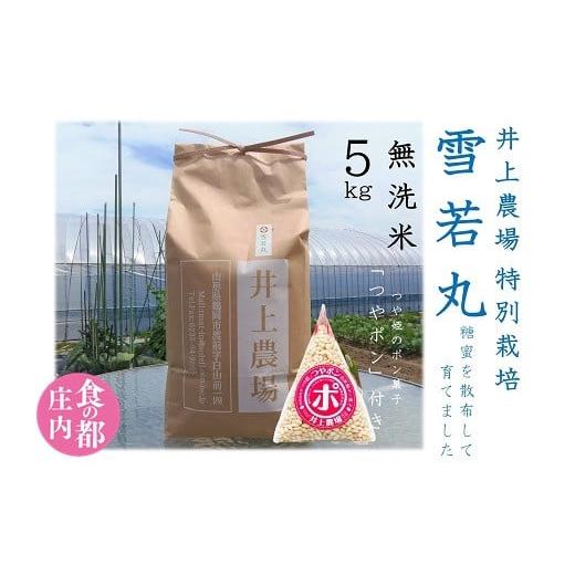 ふるさと納税 無洗米 山形県 三川町 食の都庄内 令和7年産・無洗米(精米) 特別栽培米雪若丸5kg つやポン付[井上農場] 令和7年産