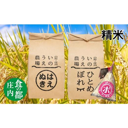 ふるさと納税 米 はえぬき 山形県 三川町 食の都庄内 令和7年産・精米 はえぬき&ひとめぼれ(各5kg)+つやポン[井上農場] 精米 令和7年産