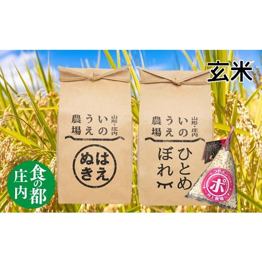 ふるさと納税 米 はえぬき 山形県 三川町 食の都庄内 令和7年産・玄米 はえぬき&ひとめぼれ(各5kg)+つやポン[井上農場] 玄米 令和7年産