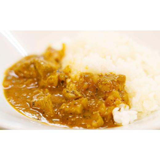 ふるさと納税 加工品等 レトルト 愛知県 幸田町 幸田 消防カレー 200g×20個入り レトルトカレー カレー 小麦粉不使用の画像