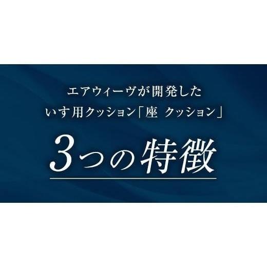 ふるさと納税 タオル・寝具 愛知県 大府市 T087-NT エアウィーヴ 座 クッション ( 座布団 ざぶとん クッション エアウィーヴ 洗える 愛知県 大府市 エアウィー…の画像