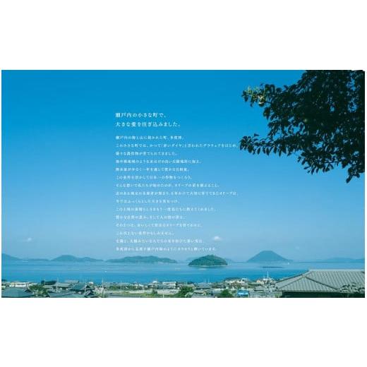 【正規品】 ふるさと納税 香川県 多度津町 【定期便】「蒼のダイヤ」オリーブオイル 多度津産90ｇ（年12回）【G-5】 【DGJ1528046252】(53820円)