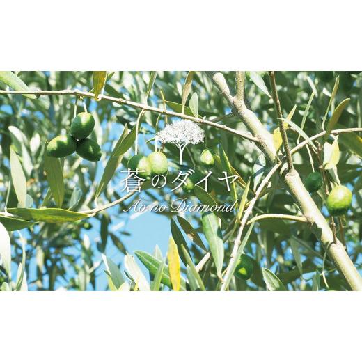 【正規品】 ふるさと納税 香川県 多度津町 【定期便】「蒼のダイヤ」オリーブオイル 多度津産90ｇ（年12回）【G-5】 【DGJ1528046252】(53820円)