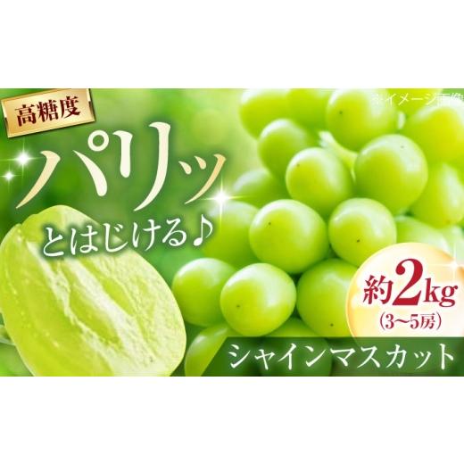 ふるさと納税 ぶどう マスカット 愛媛県 内子町 井上農園のシャインマスカット 約2kg 3〜5房入 [2026年8月〜発送] / フルーツ 果物 くだもの 食品 人気 お…