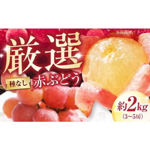 ふるさと納税 ぶどう 愛媛県 内子町 井上農園の厳選赤ぶどう(種無し) 約2kg 3から5房入 [2026年9月から発送] / 赤ブドウ ぶどう 葡萄 フルーツ 果実 お取…