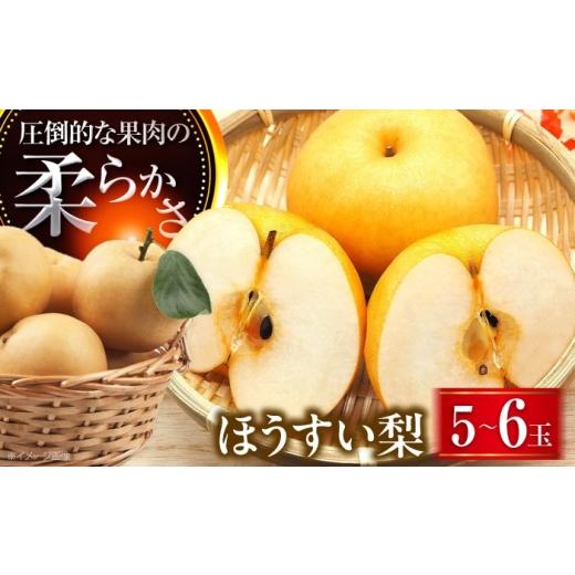 ふるさと納税 梨 愛媛県 内子町 稲田ペアファームの豊水梨(ほうすいなし) 5〜6玉入 [2026年8月〜発送] / 梨 なし フルーツ 果物 くだもの 食品 人気 おす…