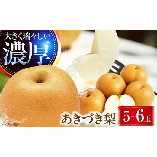 ふるさと納税 梨 愛媛県 内子町 稲田ペアファームのあきづき梨 5〜6玉 [2026年9月〜発送] / フルーツ 果物 くだもの 食品 人気 おすすめ 送料無料 梨 なし …