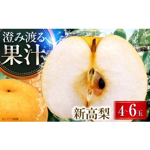 ふるさと納税 梨 愛媛県 内子町 稲田ペアファームの新高梨 (にいたかなし) 4〜6玉 [2026年9月〜発送] / フルーツ 果物 くだもの 食品 人気 おすすめ 梨 …
