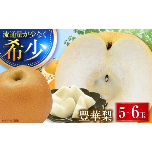 ふるさと納税 梨 愛媛県 内子町 稲田ペアファームの豊華梨 (ゆたかなし) 5〜6玉 [2026年9月〜発送] / フルーツ 果物 くだもの 食品 人気 おすすめ 梨 な…