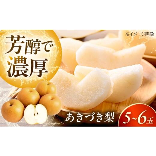 ふるさと納税 梨 愛媛県 内子町 上岡果樹園のあきづき梨 5〜6玉入 [2026年9月〜発送] / 梨 なし フルーツ 果物 くだもの 食品 人気 おすすめ 季節のフルー…