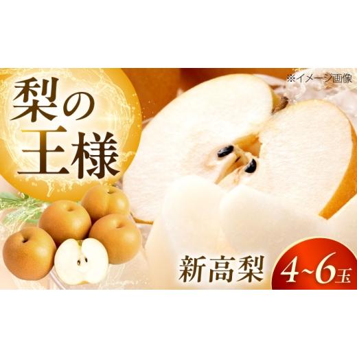 ふるさと納税 梨 愛媛県 内子町 上岡果樹園の新高梨(にいたかなし) 4から6玉入 [2026年9月から発送] / 梨 なし フルーツ 果物 くだもの 食品 人気 おすす…