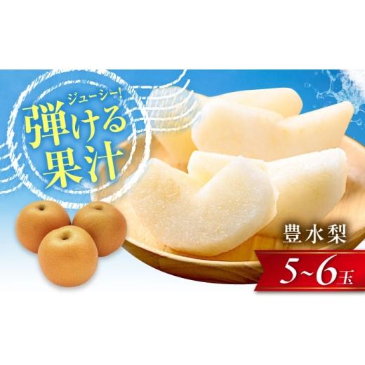 ふるさと納税 梨 愛媛県 内子町 尾形農園の豊水梨(ほうすいなし) 5〜6玉入り [2026年8月〜発送] / フルーツ 果物 くだもの 食品 人気 おすすめ 送料無料 …