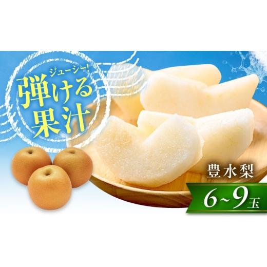ふるさと納税 梨 愛媛県 内子町 梨 尾形農園の豊水梨(ほうすいなし) 6〜9玉入り [2026年8月〜発送] / フルーツ 果物 くだもの 食品 人気 おすすめ 送料無…