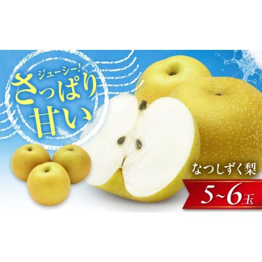 ふるさと納税 梨 愛媛県 内子町 梨 尾形農園のなつしずく梨 5〜6玉入り [2026年8月〜発送] / フルーツ 果物 くだもの 食品 人気 おすすめ 送料無料 梨 なし…