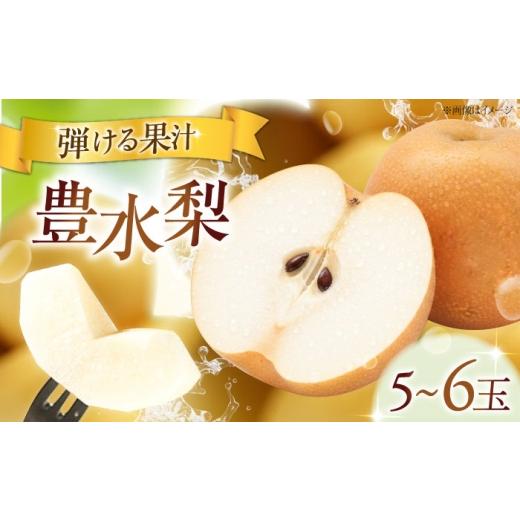 ふるさと納税 梨 愛媛県 内子町 フルーツ松本の豊水梨(ほうすいなし) 5〜6玉入り [2026年9月〜発送] / フルーツ 果物 くだもの 食品 人気 おすすめ 送料無…