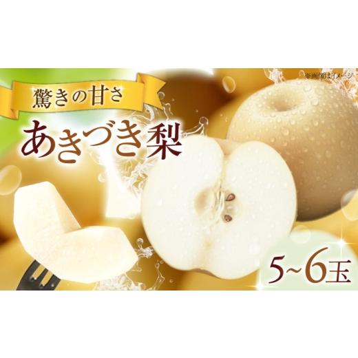 ふるさと納税 梨 愛媛県 内子町 フルーツ松本のあきづき梨 5〜6玉入り [2026年9月〜発送] / フルーツ 果物 くだもの 食品 人気 おすすめ 送料無料 梨 なし …