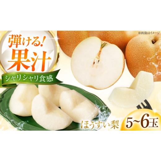 ふるさと納税 梨 愛媛県 内子町 梨 藤渕果樹園の豊水梨(ほうすいなし) 5〜6玉入り [2026年8月〜発送] / フルーツ 果物 くだもの 食品 人気 おすすめ 送料…