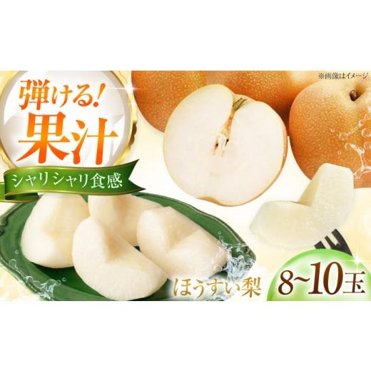 ふるさと納税 梨 愛媛県 内子町 藤渕果樹園の豊水梨(ほうすいなし) 8〜10玉入り [2026年8月〜発送] / フルーツ 果物 くだもの 食品 人気 おすすめ 送料無…