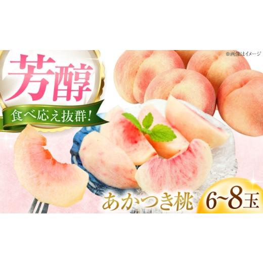 ふるさと納税 もも 愛媛県 内子町 藤渕果樹園のあかつき桃 6〜8玉入り [2026年7月〜発送] / フルーツ 果物 くだもの 食品 人気 おすすめ 送料無料 桃 もも …