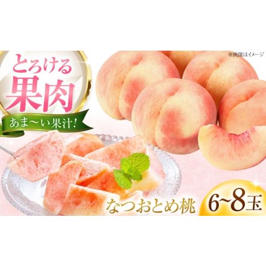 ふるさと納税 もも 愛媛県 内子町 藤渕果樹園のなつおとめ桃 6〜8玉入り [2026年7月〜発送] / フルーツ 果物 くだもの 食品 人気 おすすめ 送料無料 桃 も…