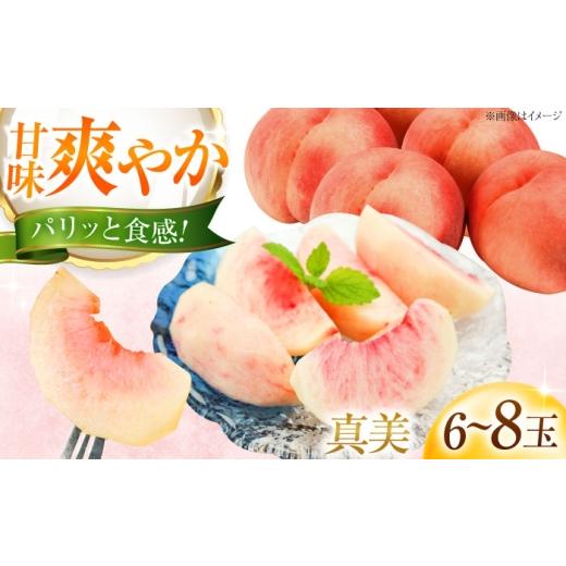 ふるさと納税 もも 愛媛県 内子町 先行予約 藤渕果樹園の真美(まみ)桃 6〜8玉入り [2026年7月下旬〜発送]/モモ 桃 フルーツ 果物 1箱 くだもの もも 株式…