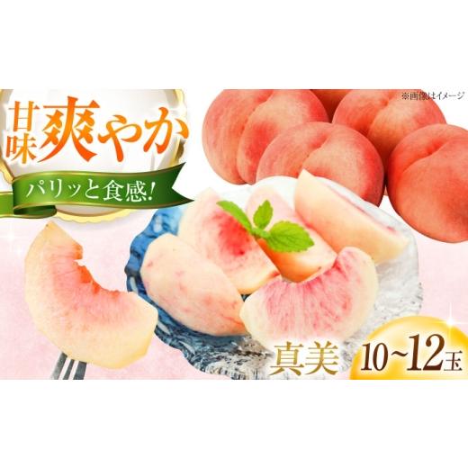 ふるさと納税 もも 愛媛県 内子町 桃 先行予約 藤渕果樹園の真美(まみ)桃 10〜12玉入り [2026年7月下旬〜発送]/モモ 桃 フルーツ 果物 1箱 くだもの もも …