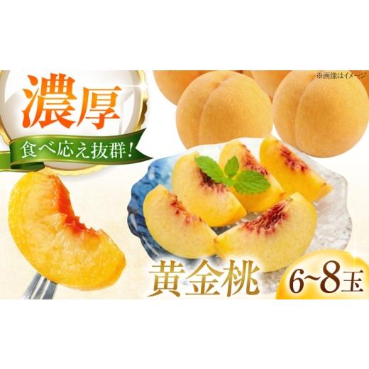 ふるさと納税 もも 愛媛県 内子町 先行予約 藤渕果樹園の黄金桃(おうごんとう)6〜8玉入り [2026年8月〜発送] / 桃 もも 黄桃 フルーツ 果物 くだもの 季…