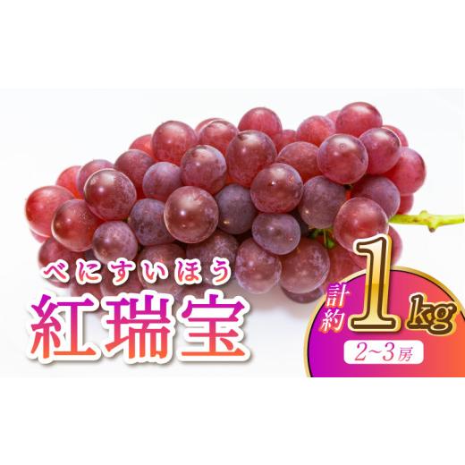 ふるさと納税 果物類 ぶどう 熊本県 宇城市 先行予約 ぶどう 紅瑞宝 約1kg 2〜3房 河野ぶどう園 2026年8月中旬?9月中旬頃順次発送予定 ブドウ 葡萄 べにずい…