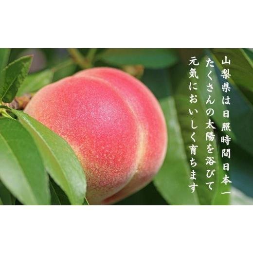 ふるさと納税 もも 山梨県 都留市  2026年先行予約 山梨県都留市産 桃詰合せ 2.0kg (5〜8玉) | 厳選 品種 おまかせ もも モモ 日川白鳳 あさま なつっこ 夢み…の画像
